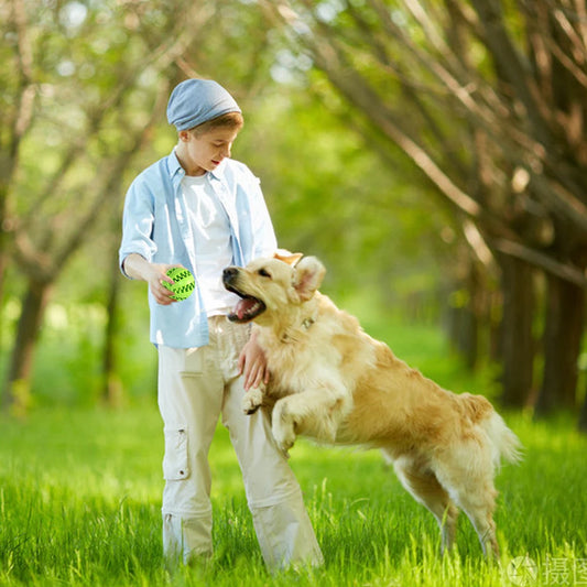 Pet Interactive Rubber Balls