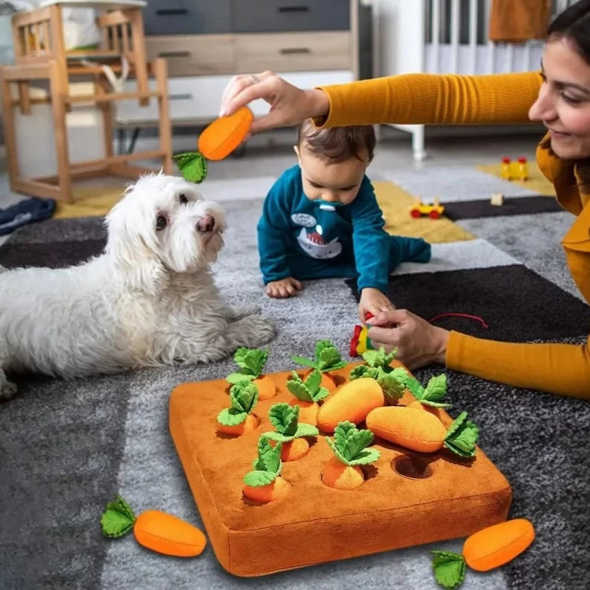 Carrot Snuffle Dogs Puzzle Toy